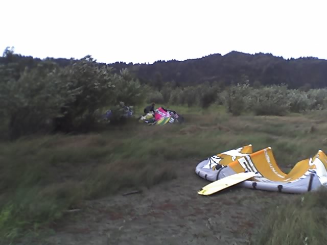 windy m-fer...look at the grass and trees