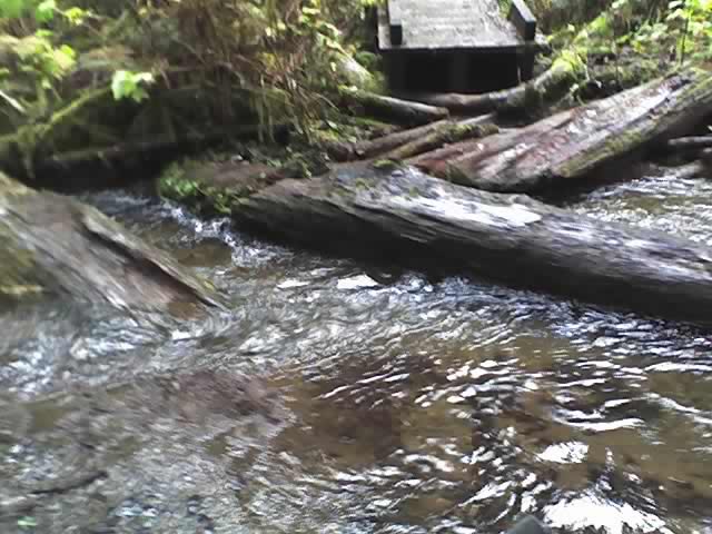 bridge out