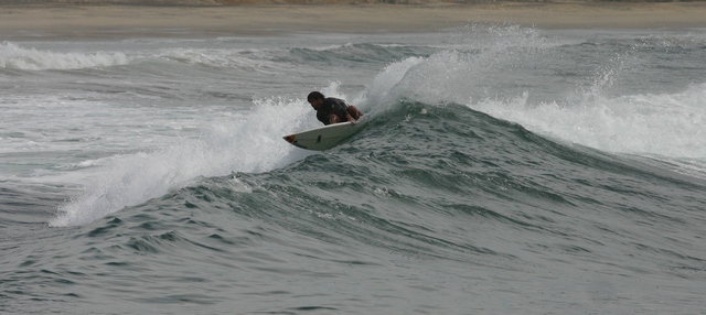 surfer bro
