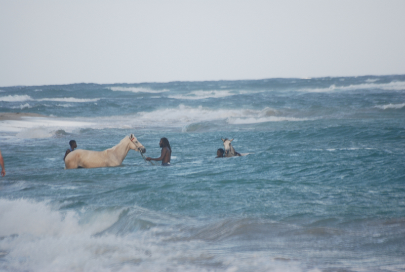 The line up gets crowded.