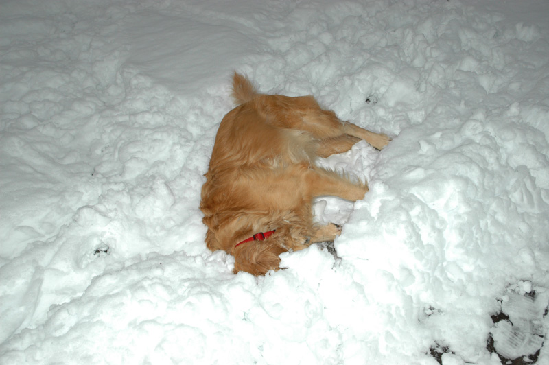 Callaway's in there somewhere