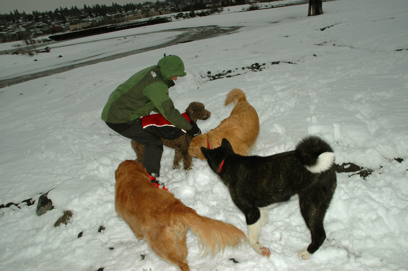 What's John doing? The dogs were wondering the same... lol
