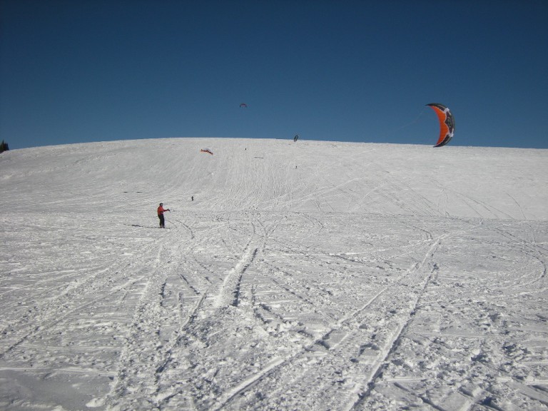 The entire hill!