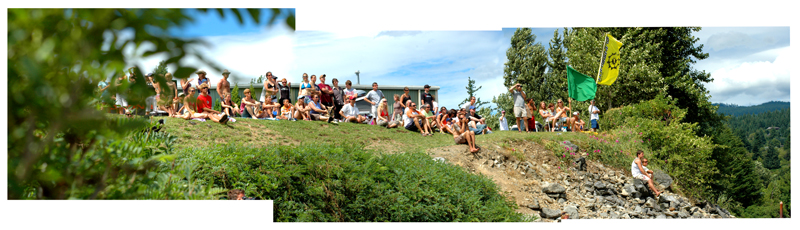 Where are all the kites?