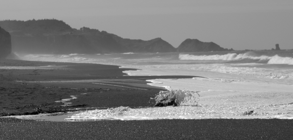 Photo Andy Bolt