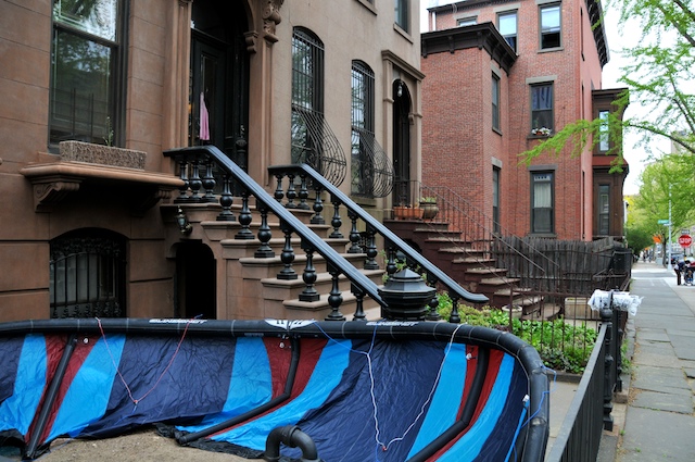 a Brooklyn front yard as it should be
