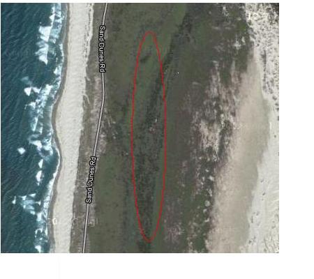 no law at all in deadwood