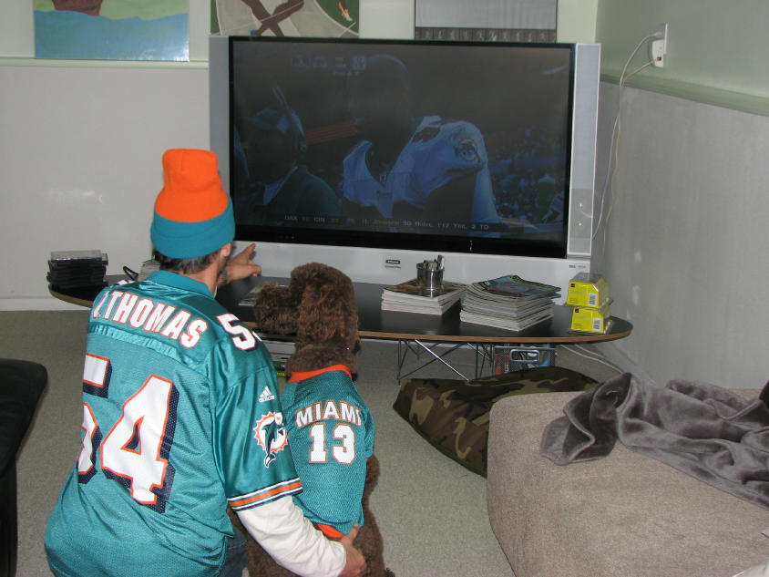 Dolphin dog predicted another victory over New England.