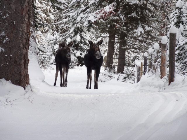 umm, yeah, let's go the other way