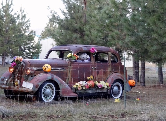 Colorful locals.  Check out the headlights.