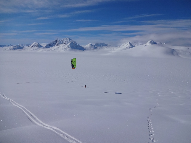 Monica tracking a wolverine in the middle of the Kenai Mts.