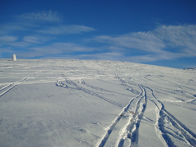 no tracks before we arrived!