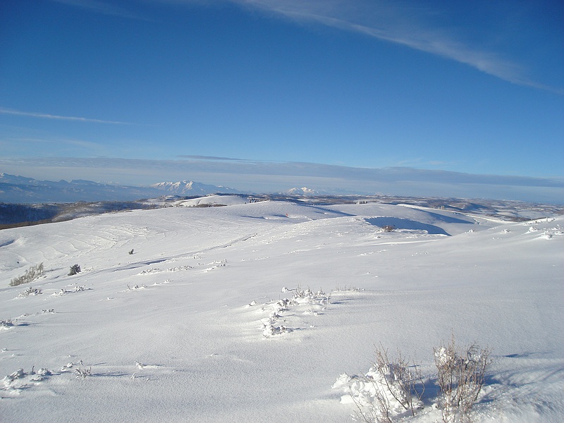 wheres waldo part II