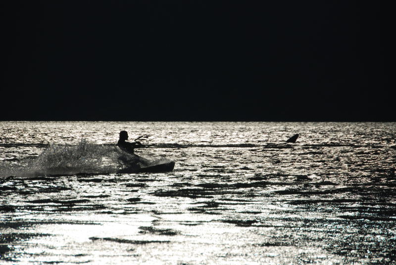 Ruben vs. the river shark