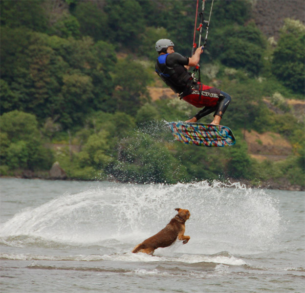 Tasty Kiter?