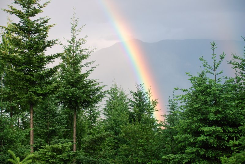 Rainbow from the back deck.