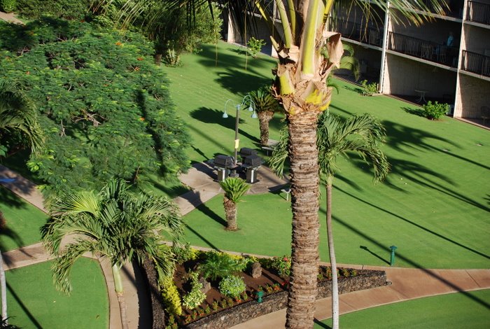 Grab your cocktail, throw your meat on the BBQ grill and play a game of shuffleboard after kiting. Or tap a few on the putting green.