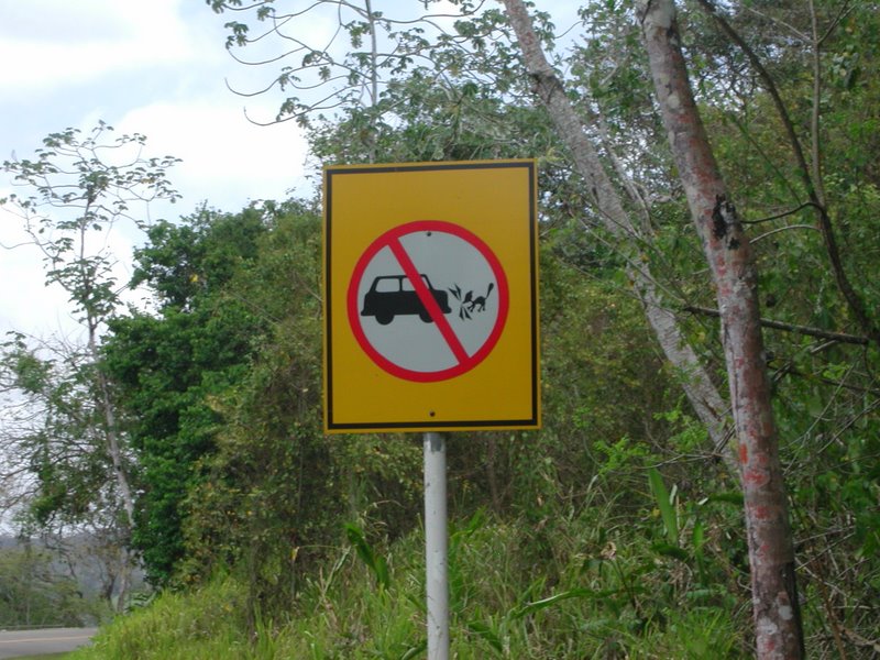 Panama shows off its eco-friendly signs- don't run shit over.