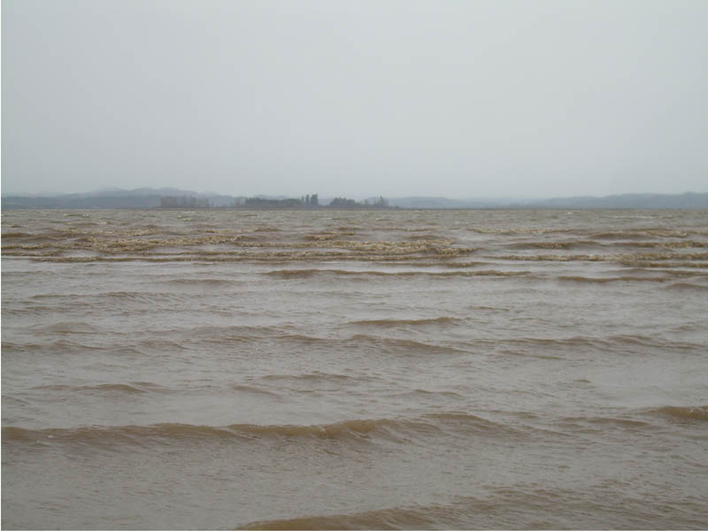 Cleaner than Sauvie water?