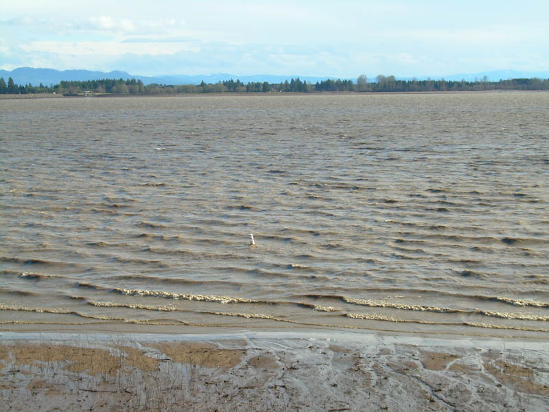 bottle that shit and sell it!