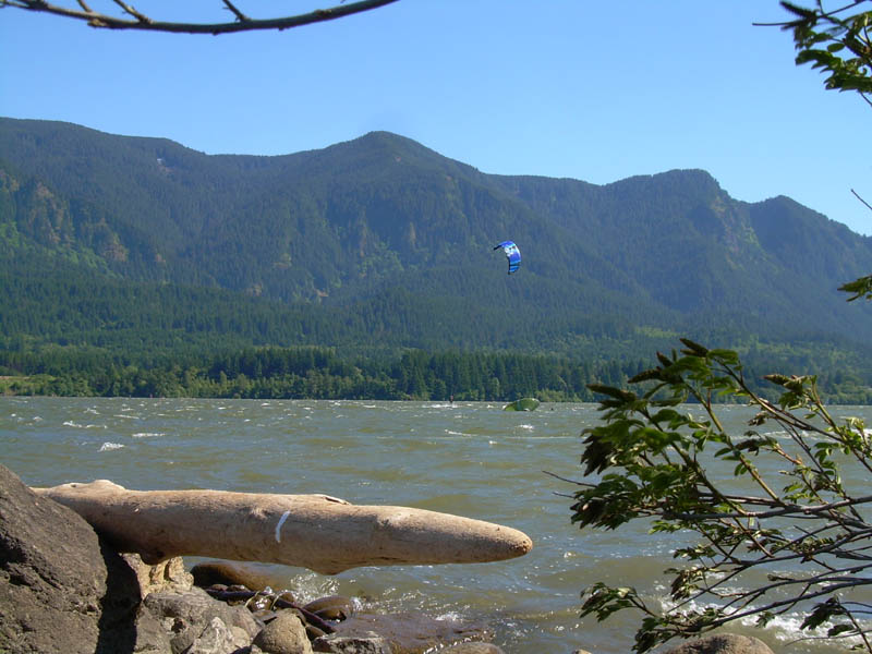 one of a few "self" recues