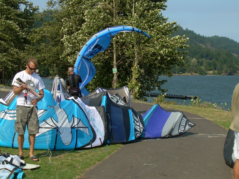 Blue kites