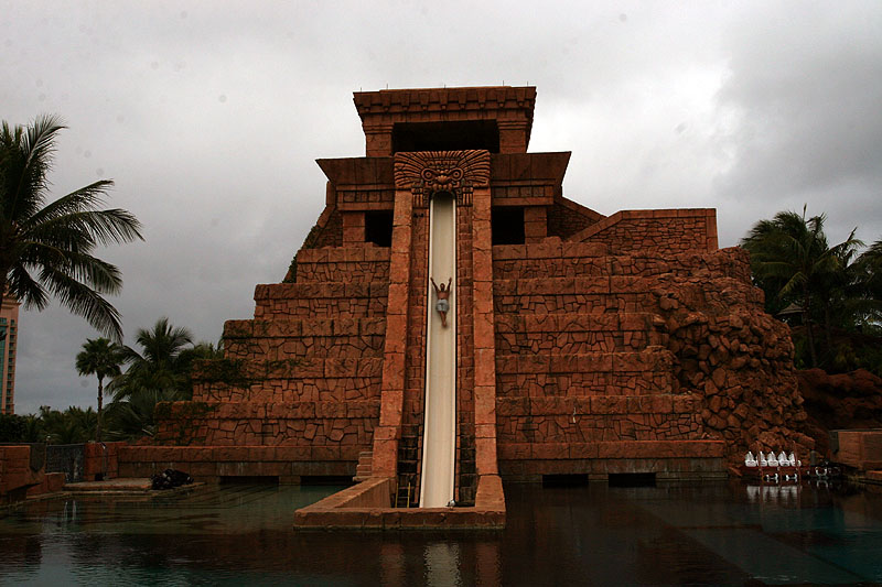 dropping in on a near vertical slide. Keep your legs crossed! Turns into a tube that goes thru a shark aquarium