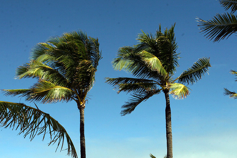 The wind starts to blow...