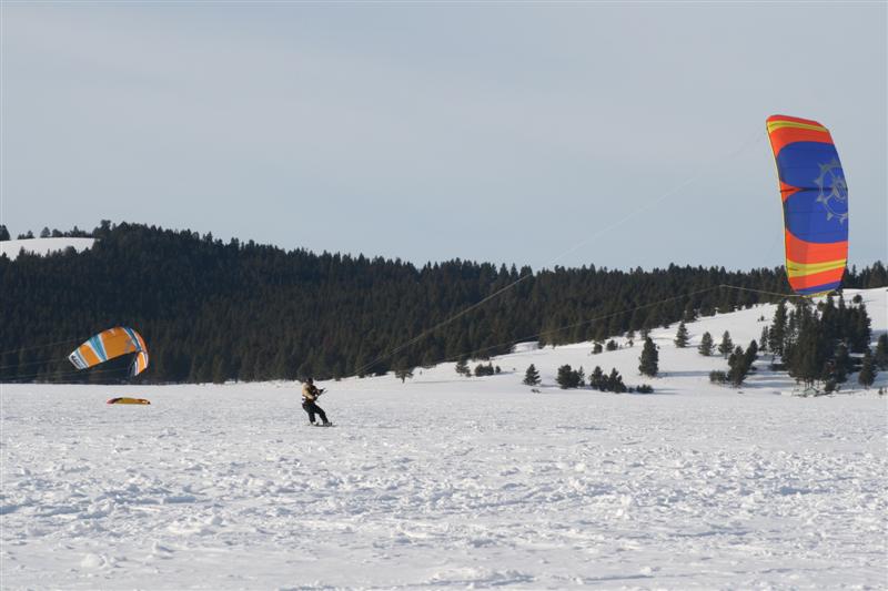 Diggy rocking his T2.