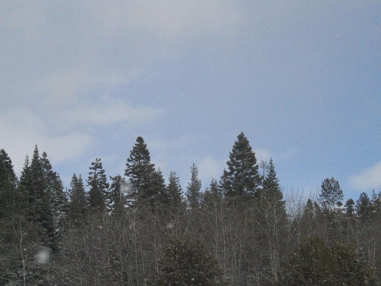 just after the posse hit the road