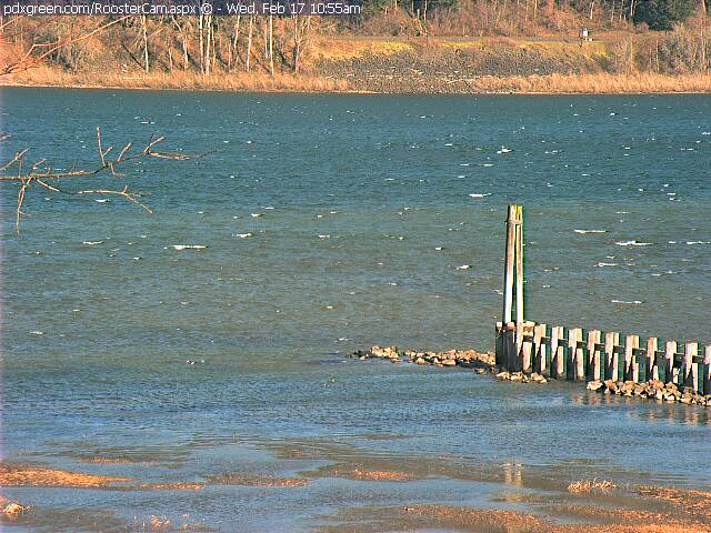 Windier than it looks...