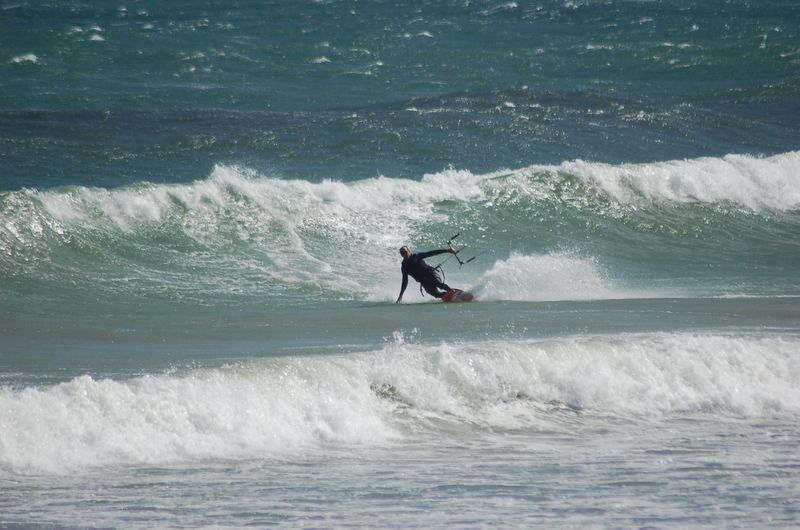 Sapere is Livin' La Vida Loca