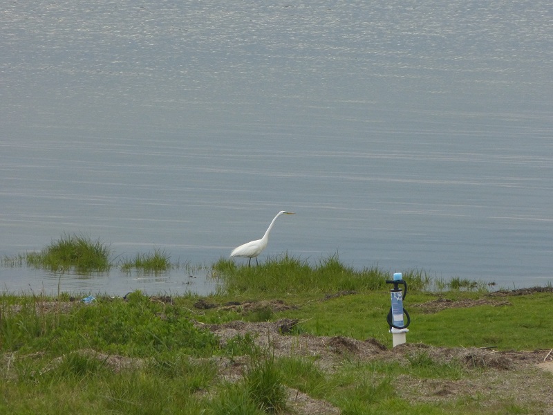 still life with pump