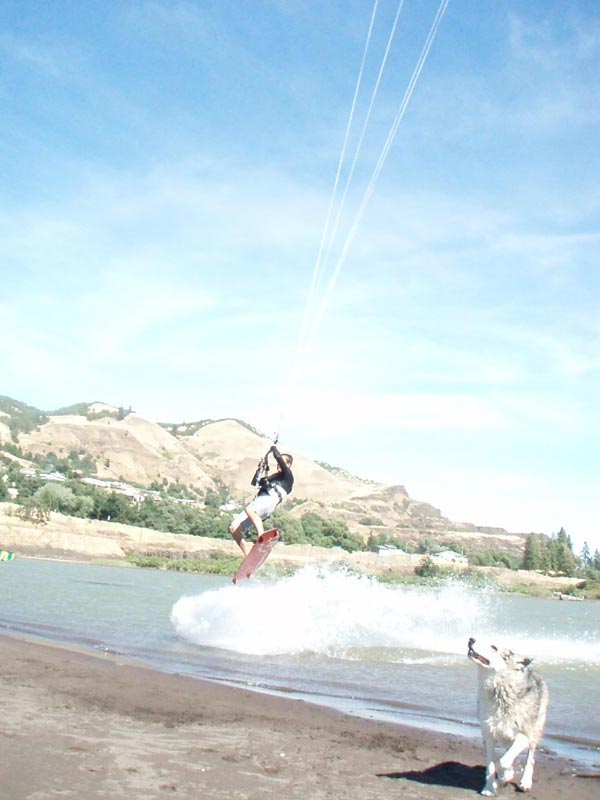 Bow kites don't loop