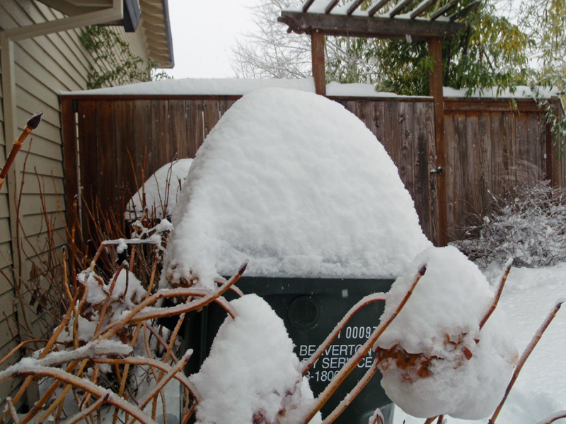 pile o snow