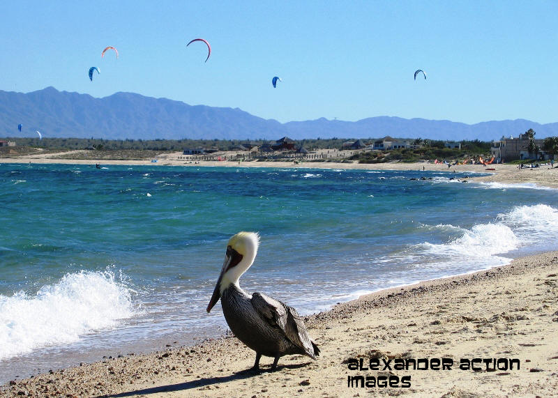 La Ventana Bay on Christmas Day