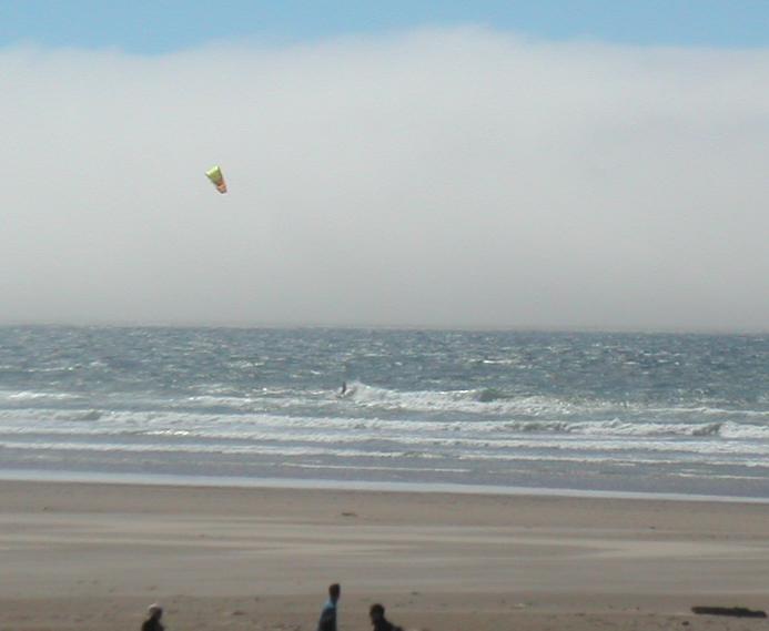 cutback