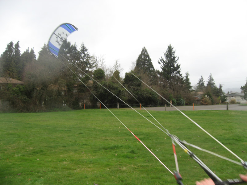 "trees help the wind stay steady"