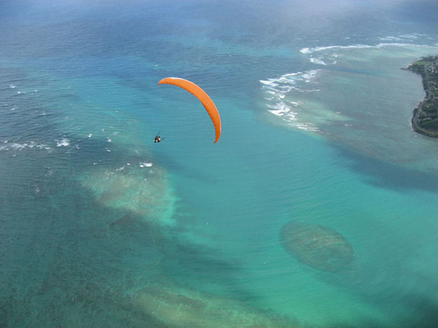 Winging down for another lift cycle.