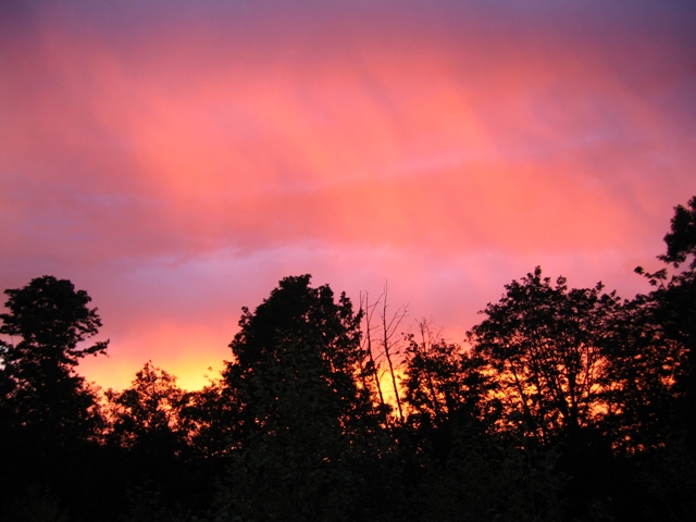 Red Sky in PDX