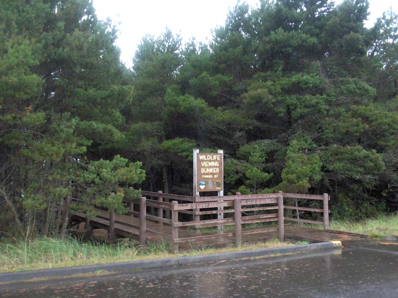 head down the board walk take a left.
