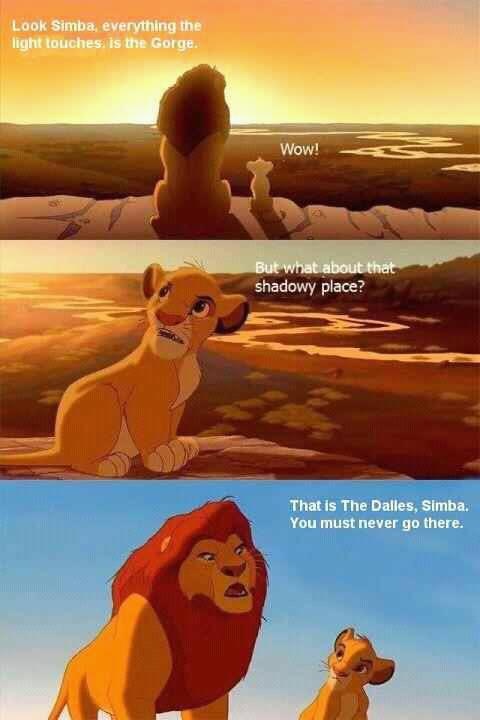 A photo representing above statement