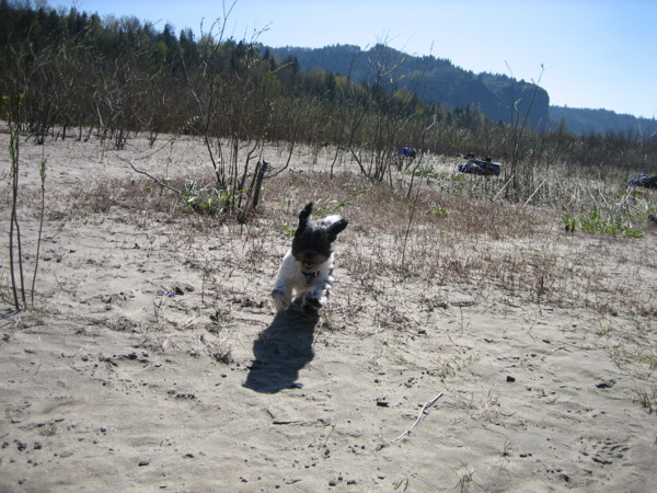 Whats Snowy doing here????