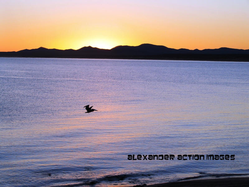 La Ventana bay