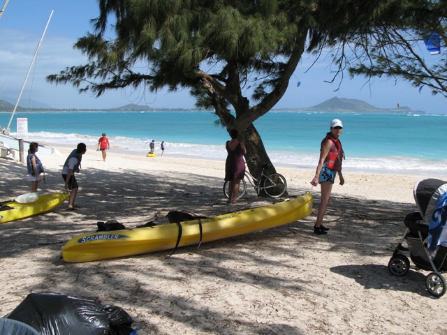 Going out for a post-kiting paddle out to "flat island" - saw a few sea turtles on the way and snorkeling was awesome!