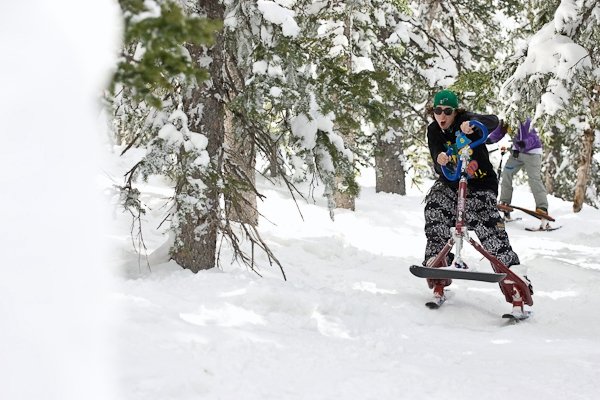 Taylor wheelie