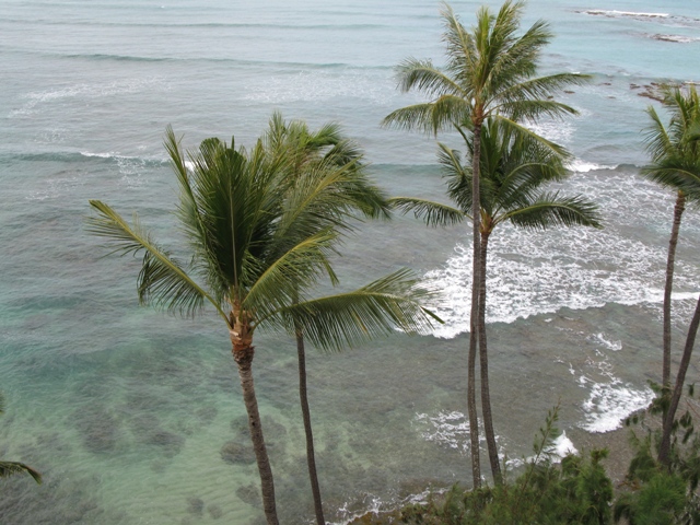 Not a bad view - mom's condo at Diamond Head